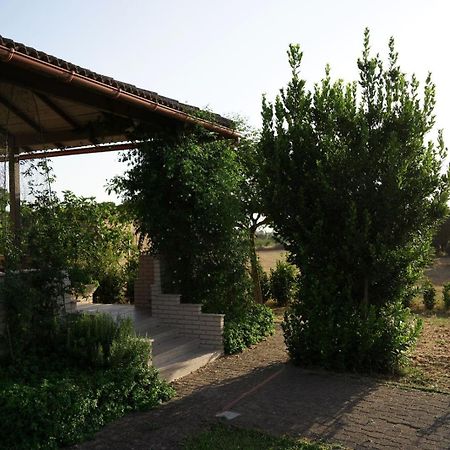 Accogliente Villa Con Piscina Caltagirone Eksteriør billede