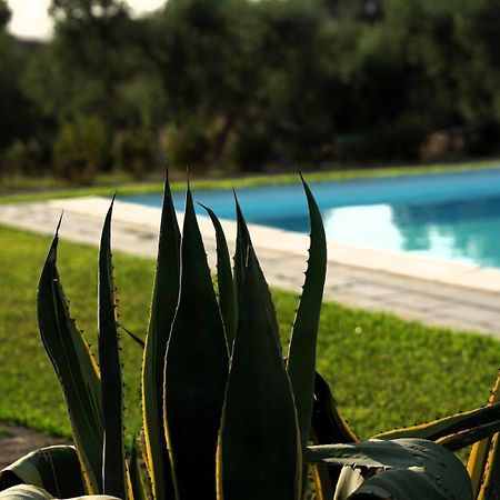 Accogliente Villa Con Piscina Caltagirone Eksteriør billede