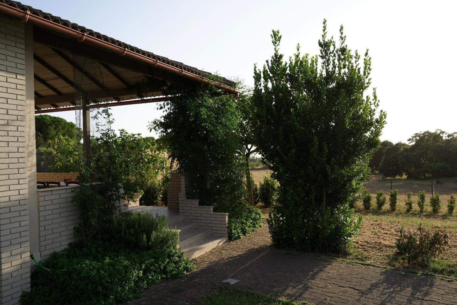 Accogliente Villa Con Piscina Caltagirone Eksteriør billede