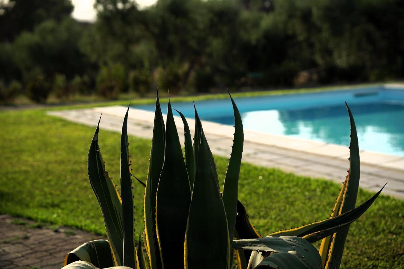 Accogliente Villa Con Piscina Caltagirone Eksteriør billede