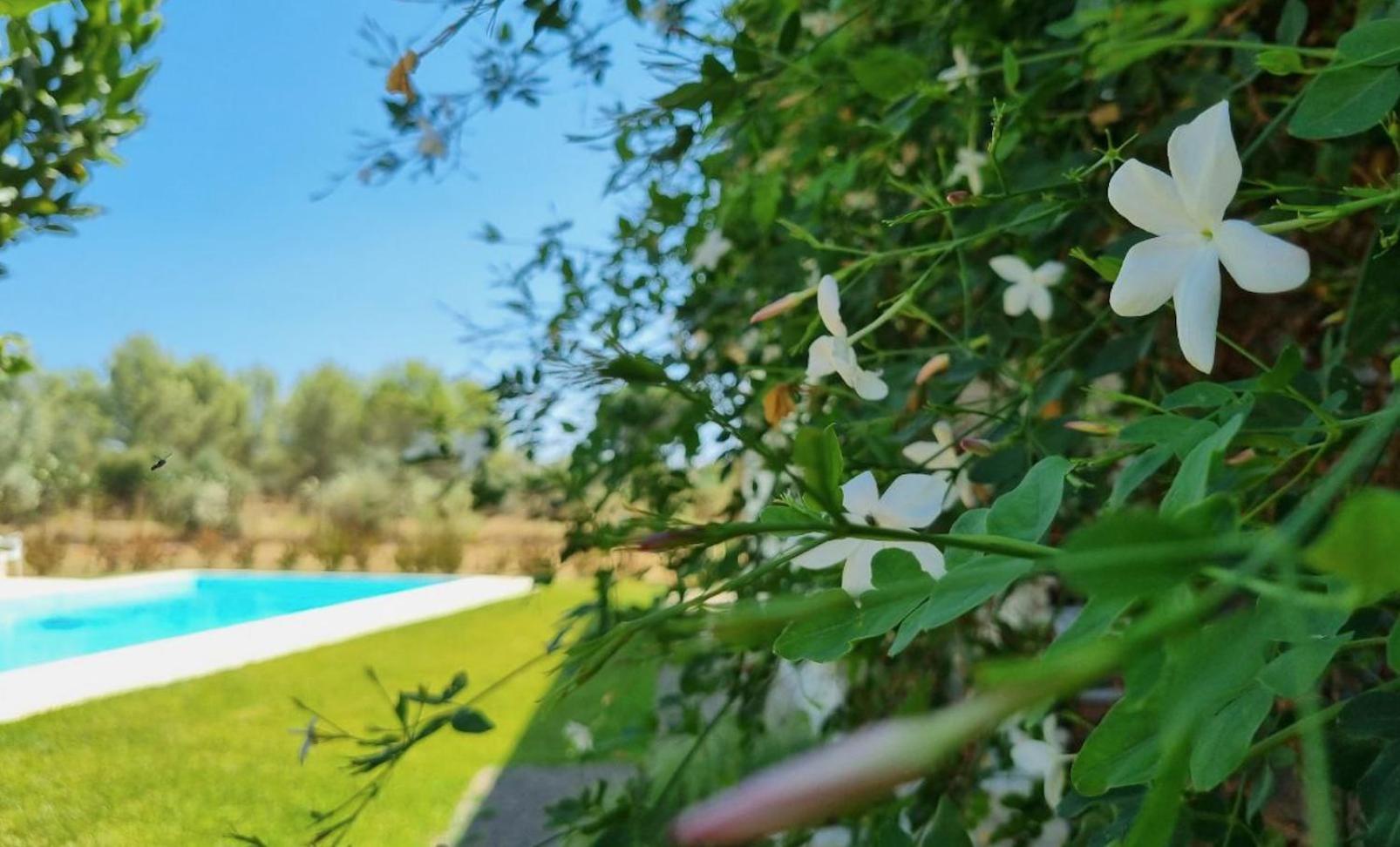Accogliente Villa Con Piscina Caltagirone Eksteriør billede