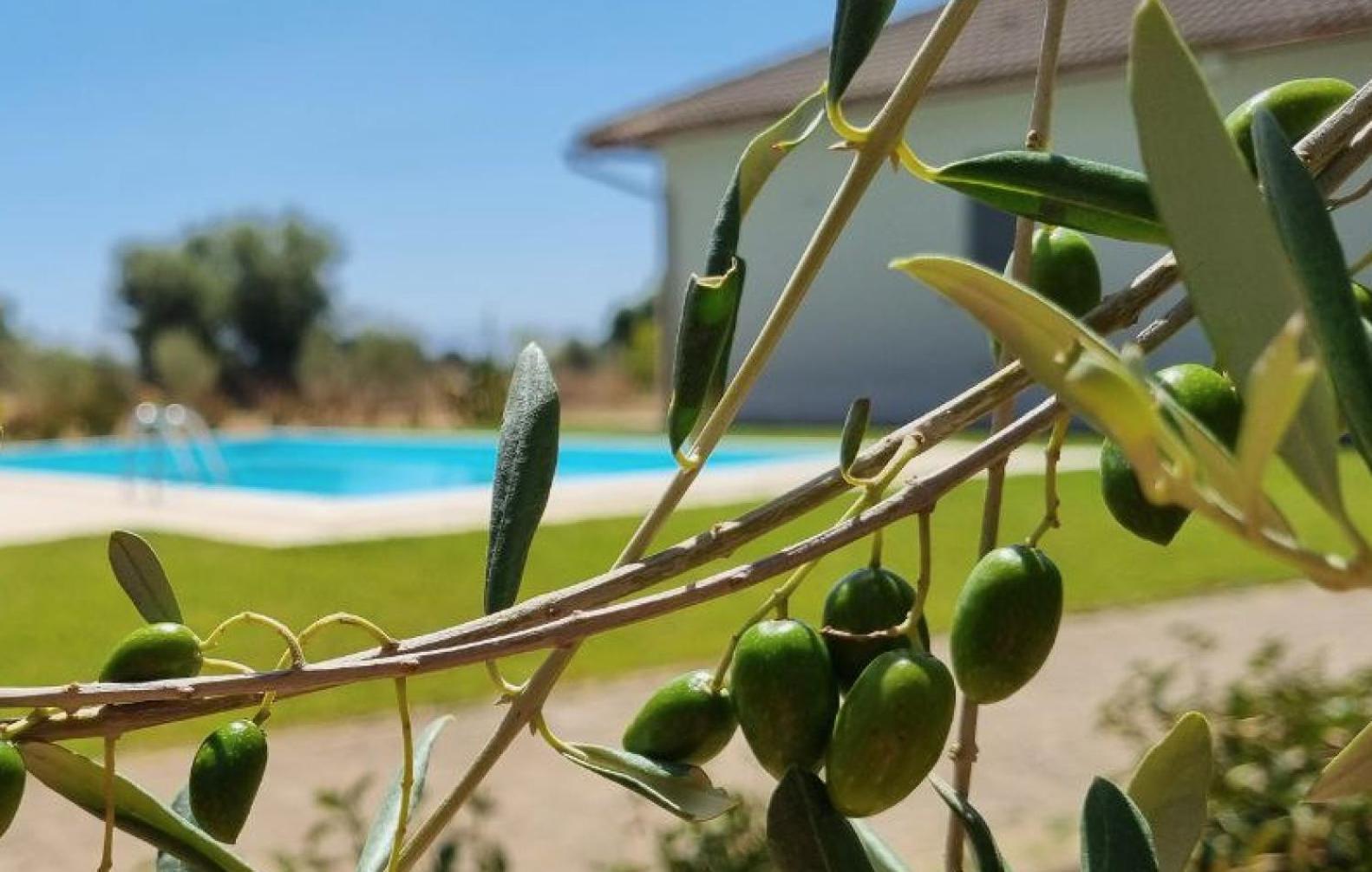 Accogliente Villa Con Piscina Caltagirone Eksteriør billede