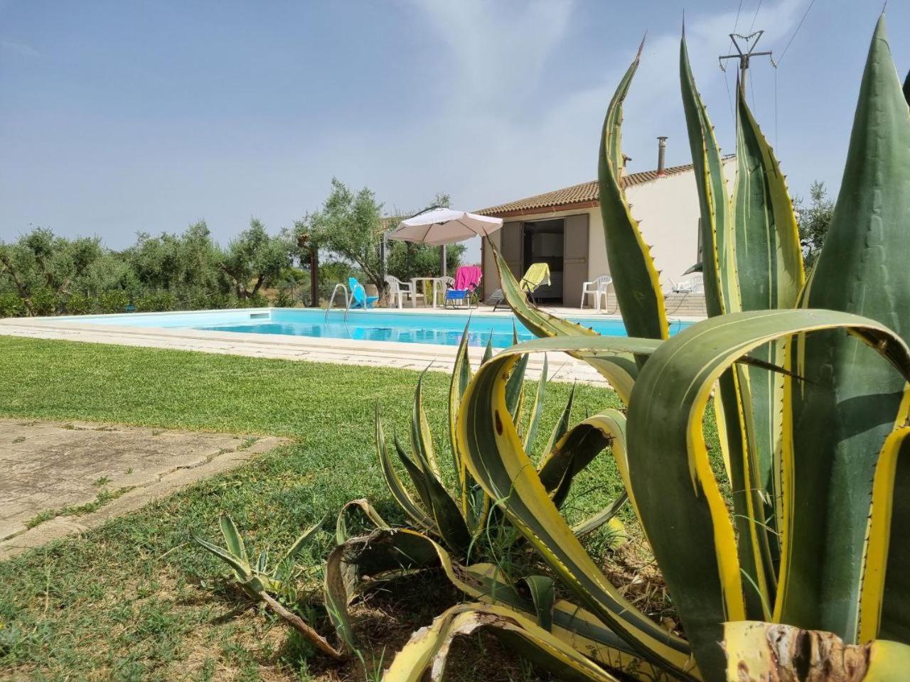 Accogliente Villa Con Piscina Caltagirone Eksteriør billede