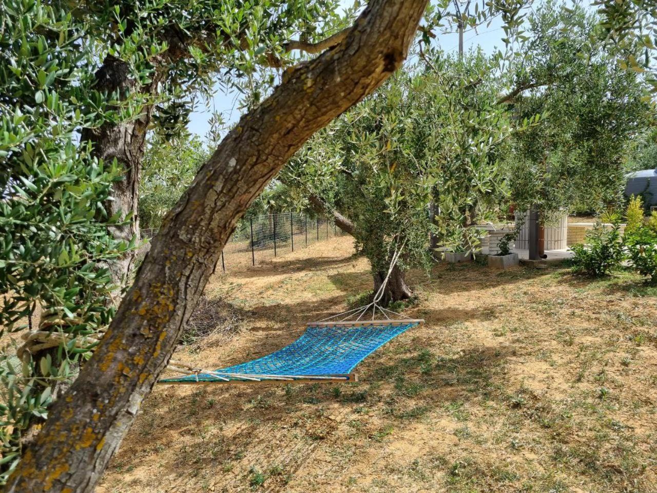 Accogliente Villa Con Piscina Caltagirone Eksteriør billede