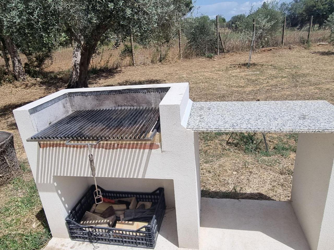 Accogliente Villa Con Piscina Caltagirone Eksteriør billede